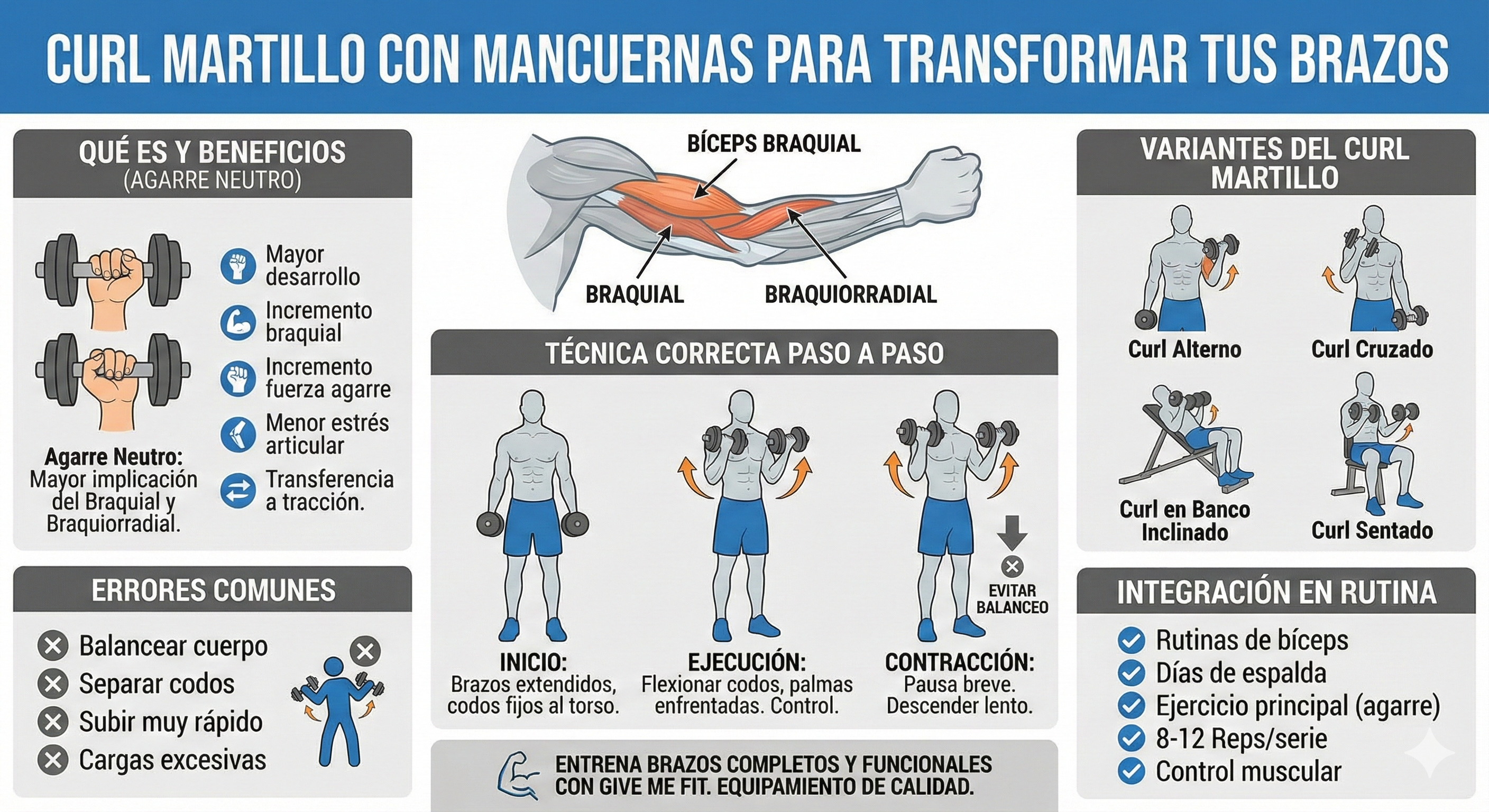 Curl martillo con mancuernas para transformar tus brazos
