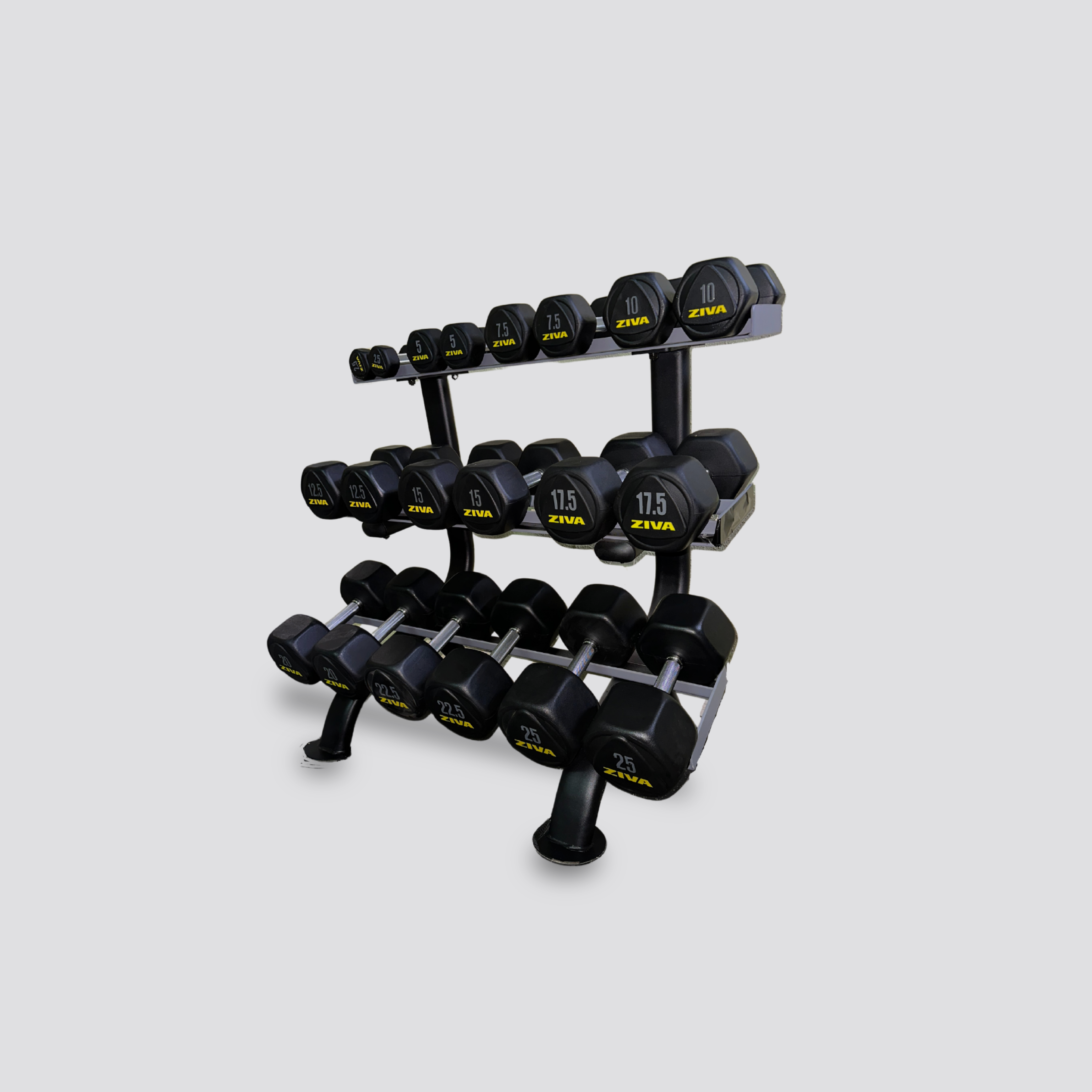 Support d'haltères Hexagon Performance · ZIVA · 2 tailles
