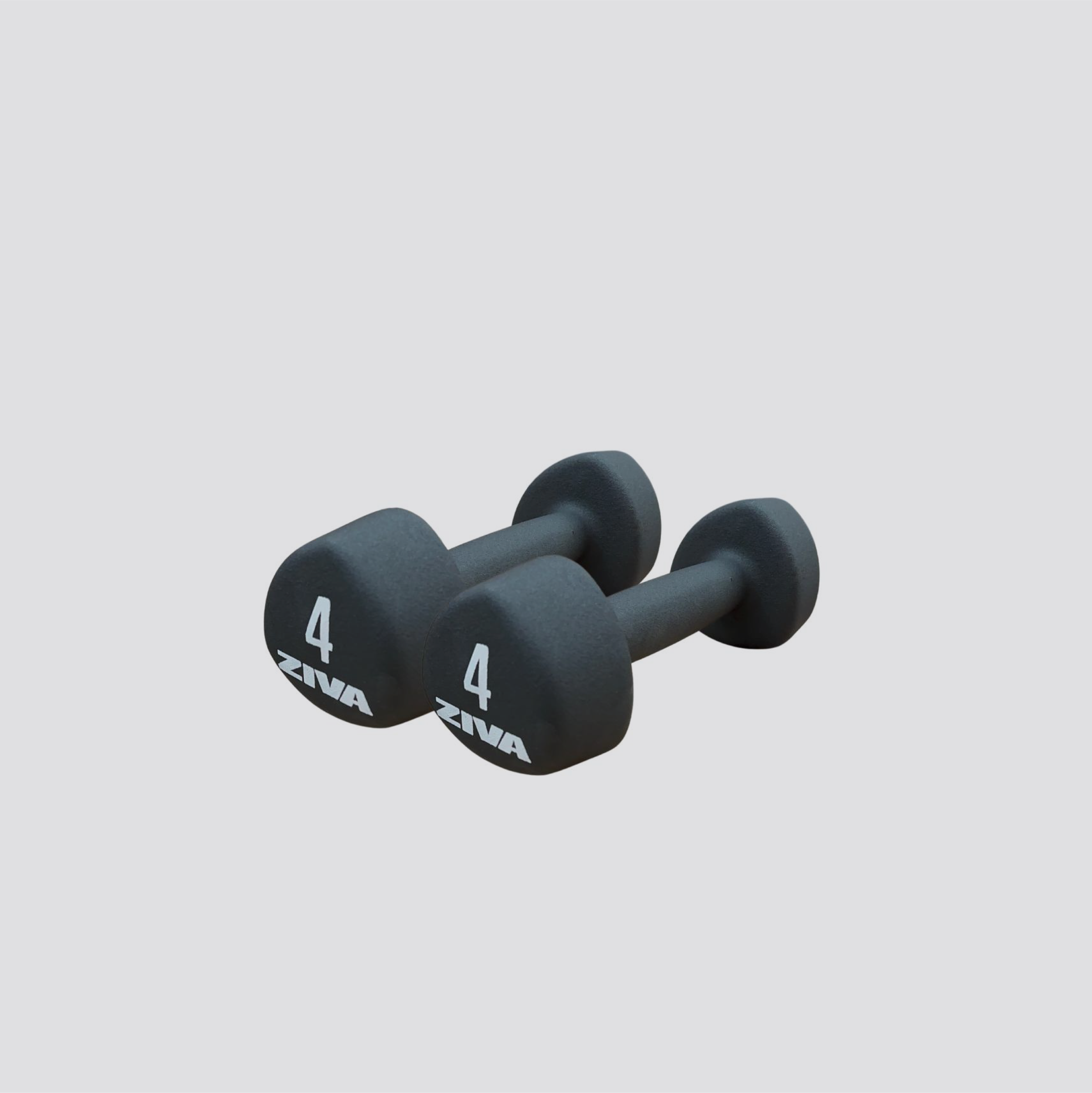Vinyl Dumbbells GiveMeFit From 0.5 kg to 10 kg