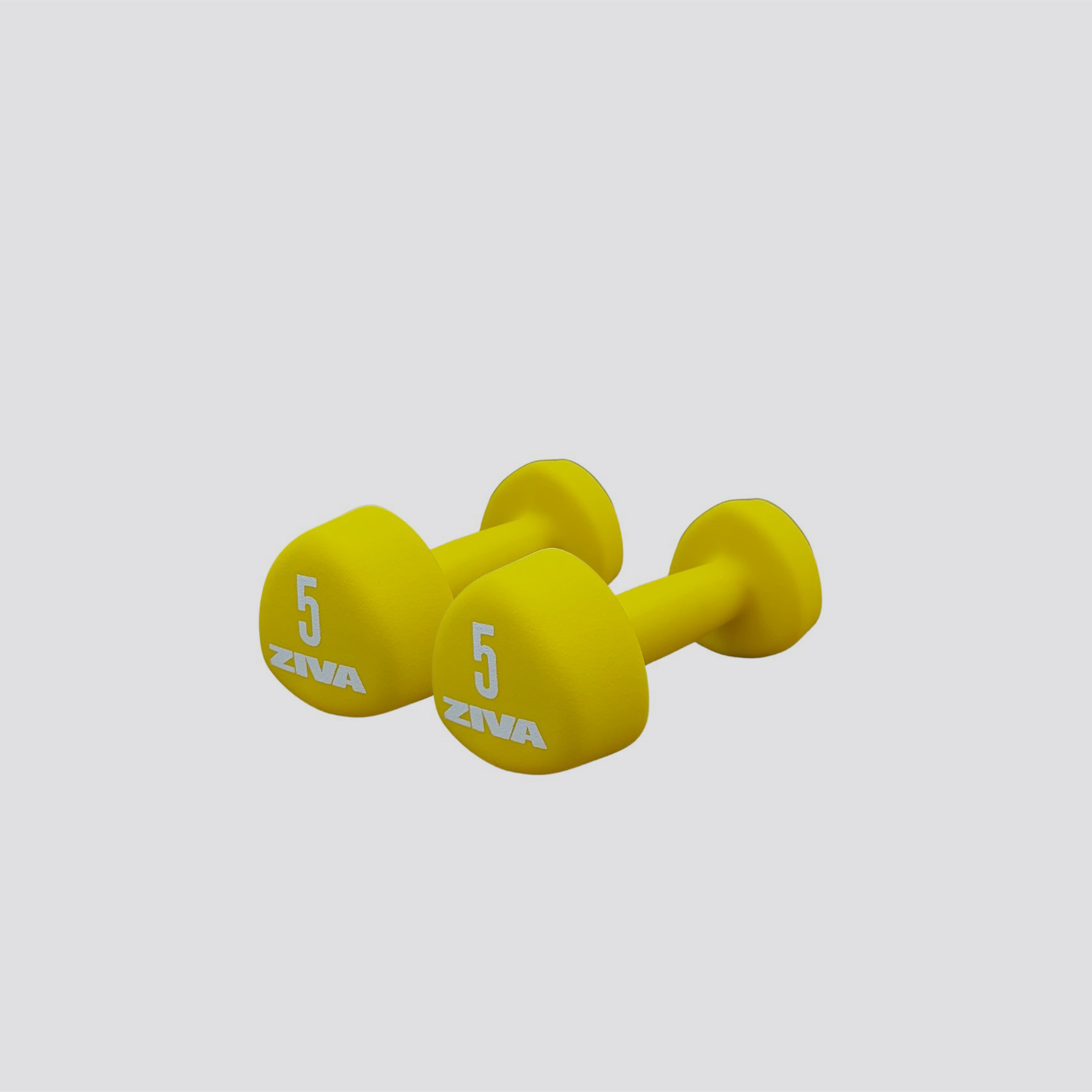 Vinyl Dumbbells GiveMeFit From 0.5 kg to 10 kg