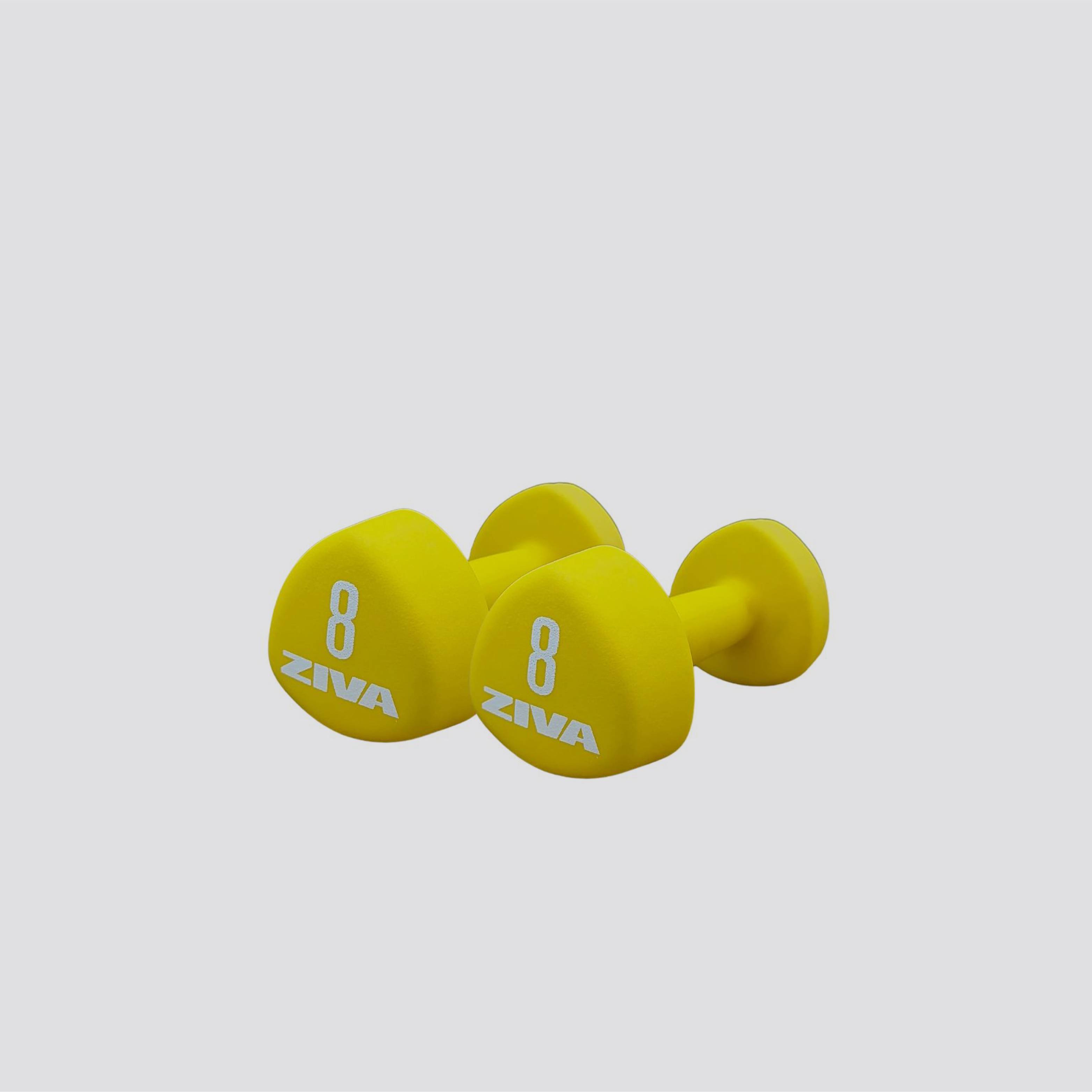 Vinyl Dumbbells GiveMeFit From 0.5 kg to 10 kg