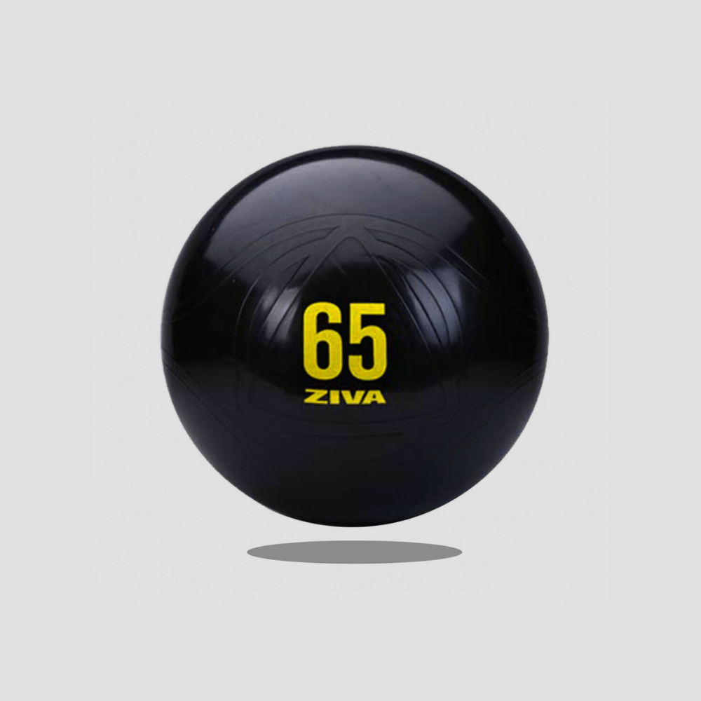 Fitball Classic Ziva Includes inflator