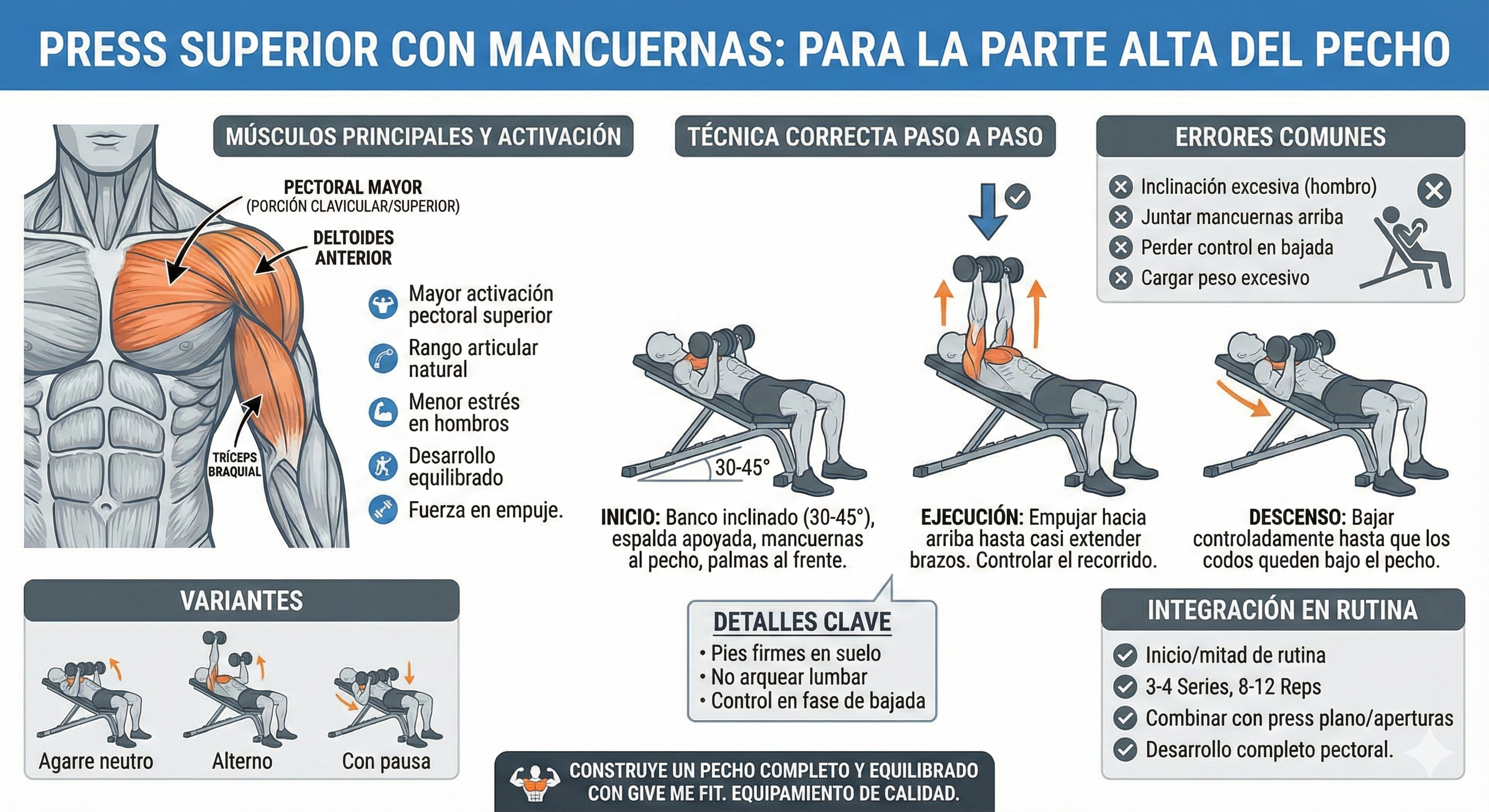 Press superior con mancuernas para la parte alta del pecho